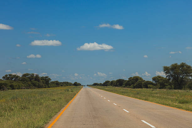 istock South African road through the savannas and deserts with marking 636330934