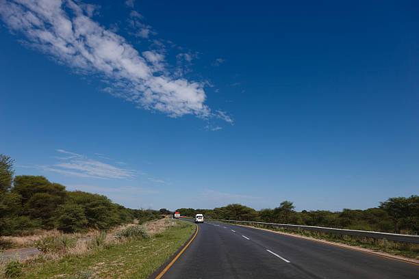 istock South African road through the savannas and deserts with marking 636331106
