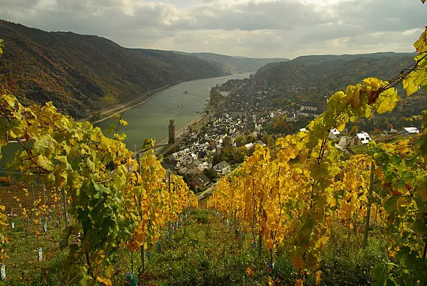 Photo of Oberwesel