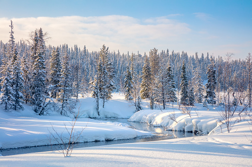 The Arctic desert, draped in the calm embrace of frozen, snow-covered vistas, reveals a pure and tranquil winter tableau.