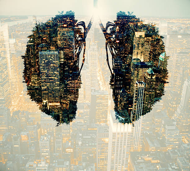 istock Environment and health concept 636333390
