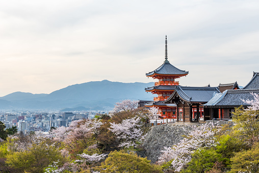 Kyoto, Japan - April 5, 2016 : Kiyomizu dera temple in spring