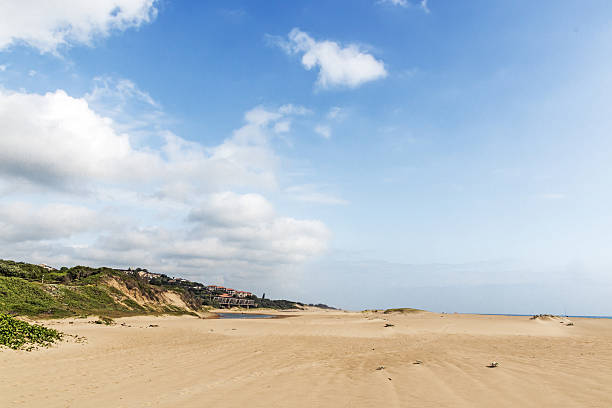 istock Indigenous Plant Growing on  Beach Sand  Dune 636335004