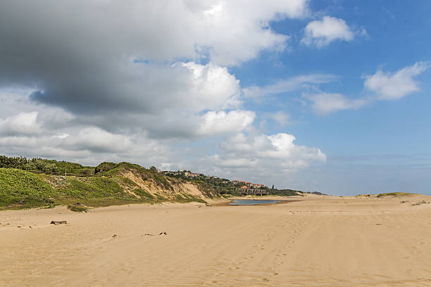 istock Indigenous Plant Growing on  Beach Sand  Dune 636336548