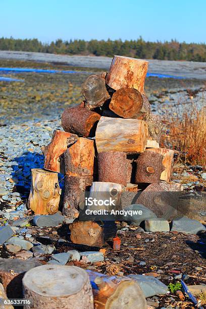 Firewood By The Ocean Ready For A Bon Fire Stock Photo - Download Image Now - Beach, Firewood, Low Tide