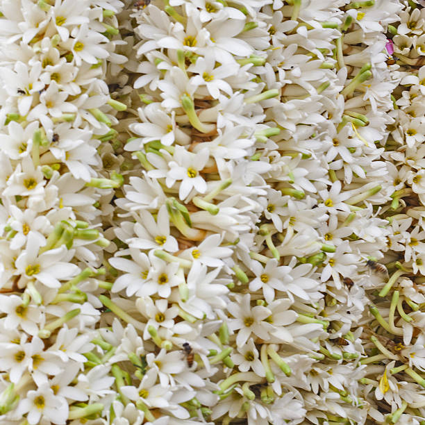 istock Flower Garlands for Hindu Religious Ceremony 636337608