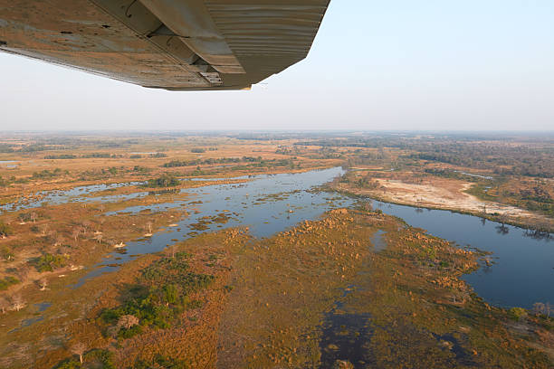Aerial landscape in Okavango delta, Botswana. Lakes and rivers, view from airplane. Green vegetation in South Africa. Trees with water in rainy season.