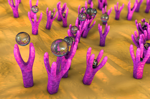 Cellular membrane with receptors and molecules coming to receptors, 3D illustraction