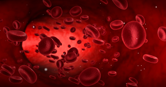 glóbulos rojos en una arteria, flujo dentro del cuerpo photo