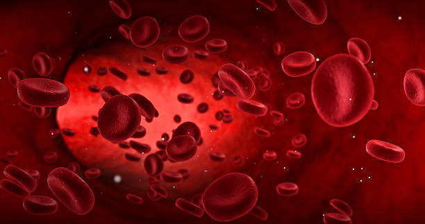 red blood cells in an artery, flow inside body red blood cells in an artery, flow inside body, medical human health-care red blood cell stock pictures, royalty-free photos & images