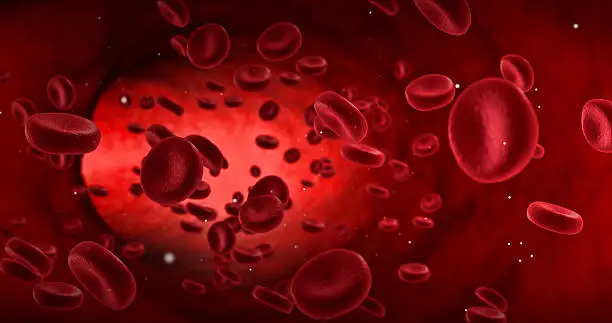Photo of red blood cells in an artery, flow inside body