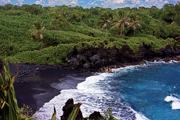 istock Maui Hawaii Black Sand Beach 636341286