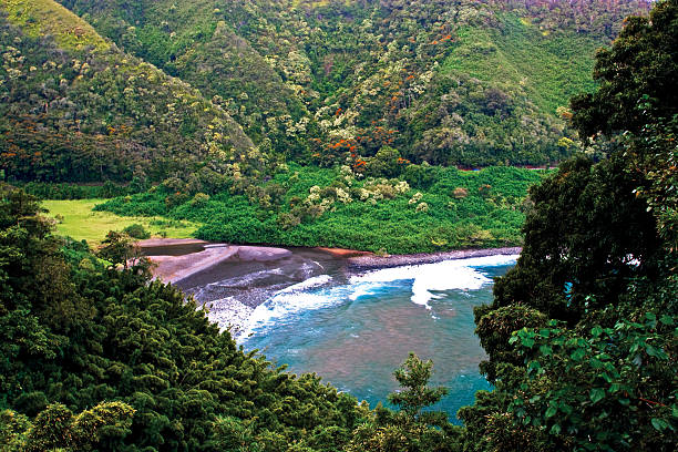 plage de sable noir sur maui hawaii - hawaii islands maui hana road photos et images de collection