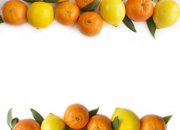 istock Mandarins and lemons on white background 636341948