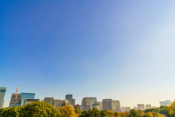 istock Cityscape of Tokyo 636342968