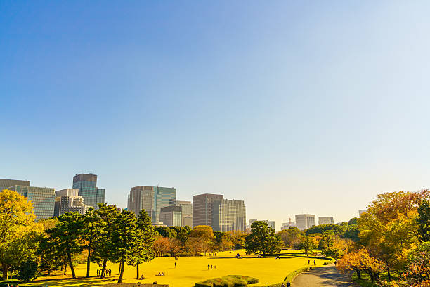 istock Cityscape of Tokyo 636342998