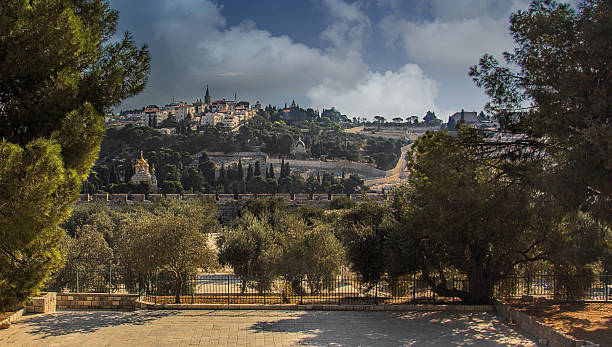 예루살렘에서 올리브 산의 전경 - mount of olives 뉴스 사진 이미지