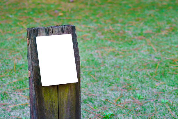 istock Wooden signboard on grass 636346334