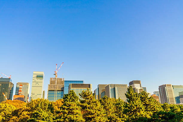 istock Cityscape of Tokyo 636346648
