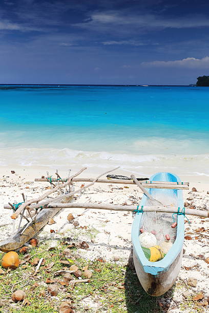 dugout pesca bote de remos varado-port olry playa. isla espíritu santo-vanuatu. 7157 - backwash fotografías e imágenes de stock