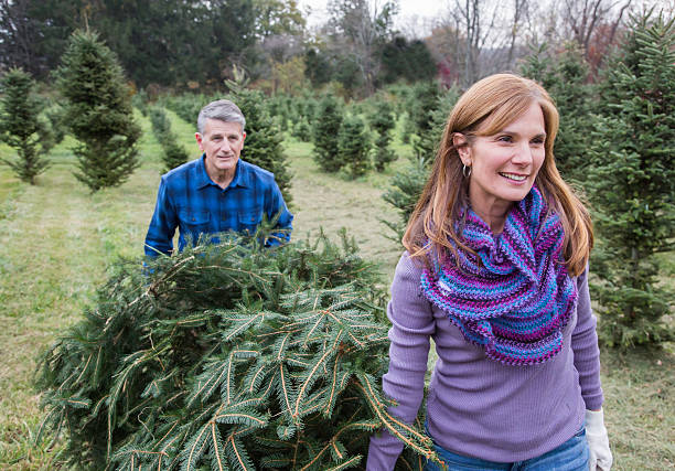 istock Mature Couple at Christmas Tree Farm 636347180