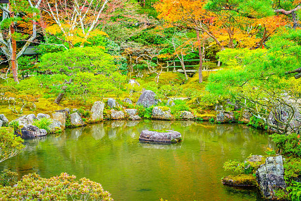 istock Autumn Colored Tree and Pond in Park 636347652