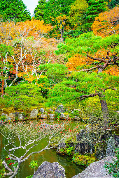 istock Autumn Colored Tree and Pond in Park 636347716