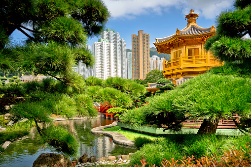 Public Nan Lian Garden situated at Diamond hill