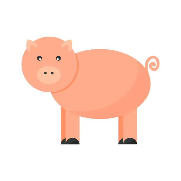 Vector illustration of Pigs vector cartoon character