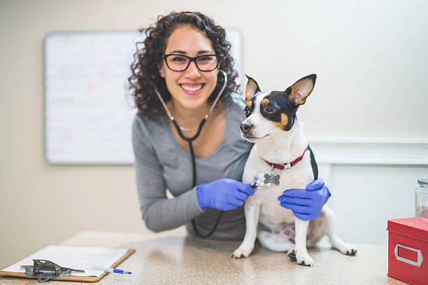 istock A female veterinarian is hugging a dog during a checkup 636351526