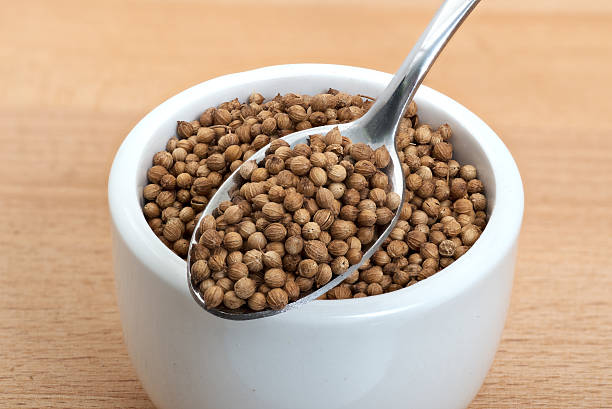 coriander organic seeds in small white bowl - coriander seed fotos imagens e fotografias de stock