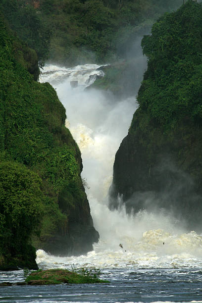 istock Murchison Falls National Park Safari Reserve in Uganda 636353266