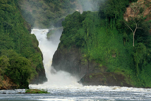 istock Murchison Falls National Park Safari Reserve in Uganda 636353270