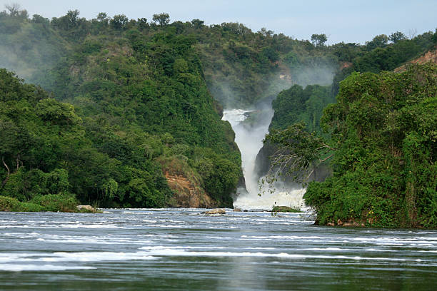 istock Murchison Falls National Park Safari Reserve in Uganda 636353290