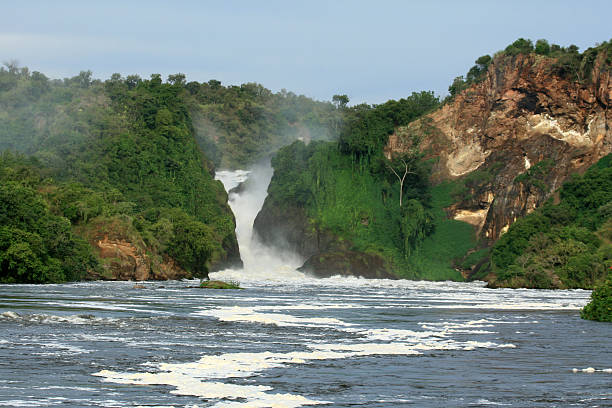 istock Murchison Falls National Park Safari Reserve in Uganda 636353318