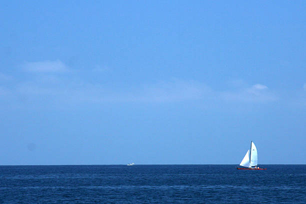 istock Iriomote Island, Okinawa, Japan 636353670