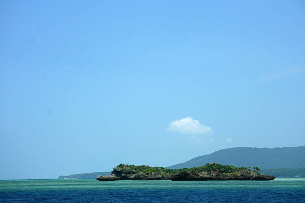 istock Iriomote Island, Okinawa, Japan 636353672