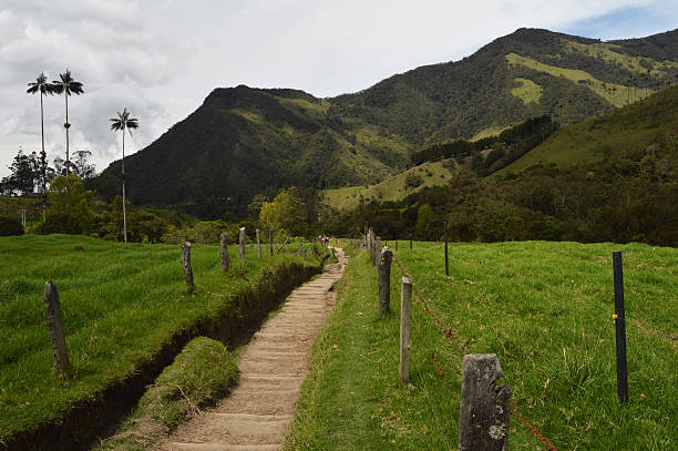 istock Hiking in Cocora valley, Colombia 636355158