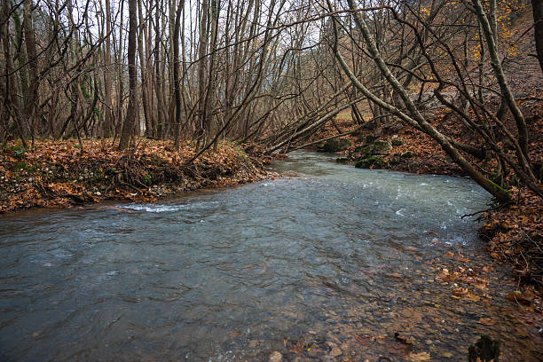 istock Scenic mountain autumn landscape with river and   watergfalls, P 636355510