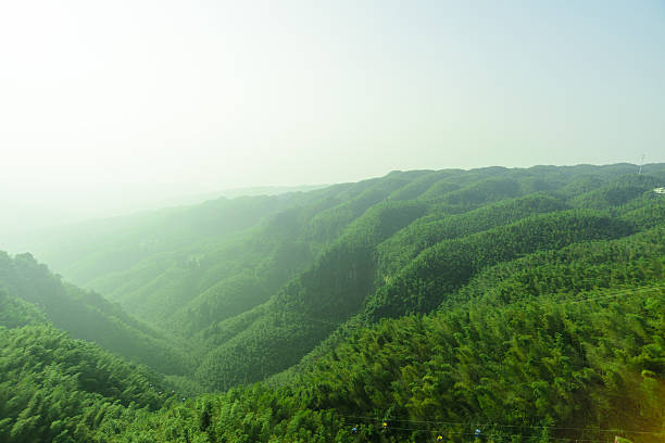 nature background