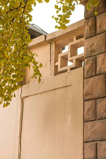 Leaves and walls.