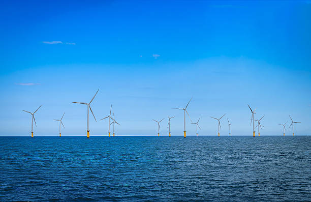 istock Offshore Wind Turbine in a Wind farm 636359968