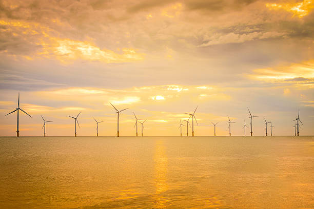 istock Sunset Offshore Wind Turbine in a Wind farm 636361162