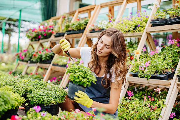 istock Taking care of the flowers 636367650