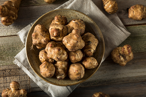 Raw Organic Jerusalem Artichoke Sunchokes Ready to Cook