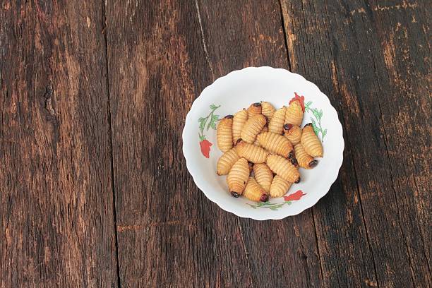 Sago beetle worm, Red palm weevil, Fried in cup (Rhynchophorus ferrugineus) Popular food larva  Southern Thailand on the wooden floor, Top view
