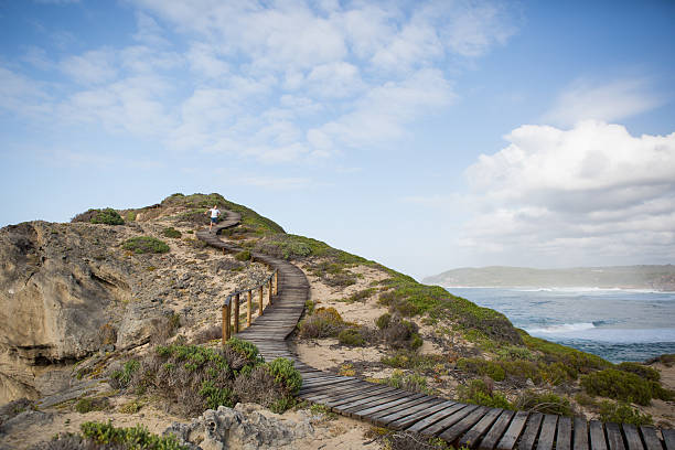 istock Morning run on the coastal boardwalk 636371832