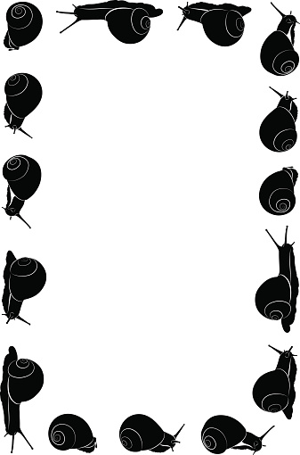 Snails Frame Snails Vector Frame Stock Illustration - Download Image Now - Animal ...