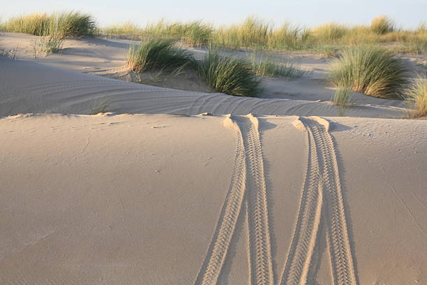 Blokarting on the beach of Amsterdam