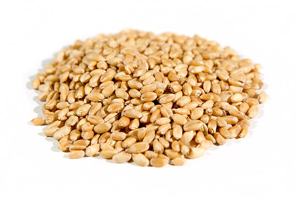 istock Organic hard white wheat  isolated on white 636374194